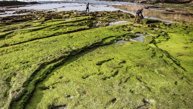 Jejak Kaki Kuno di Maroko dan Isu Kenaikan Permukaan Laut